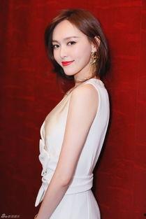 张婕爆料柳传志视频大全,张婕独家爆料，揭秘企业家传奇人生  第1张